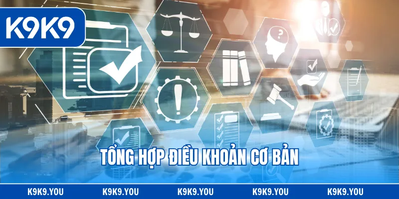 Tổng hợp điều khoản cơ bản